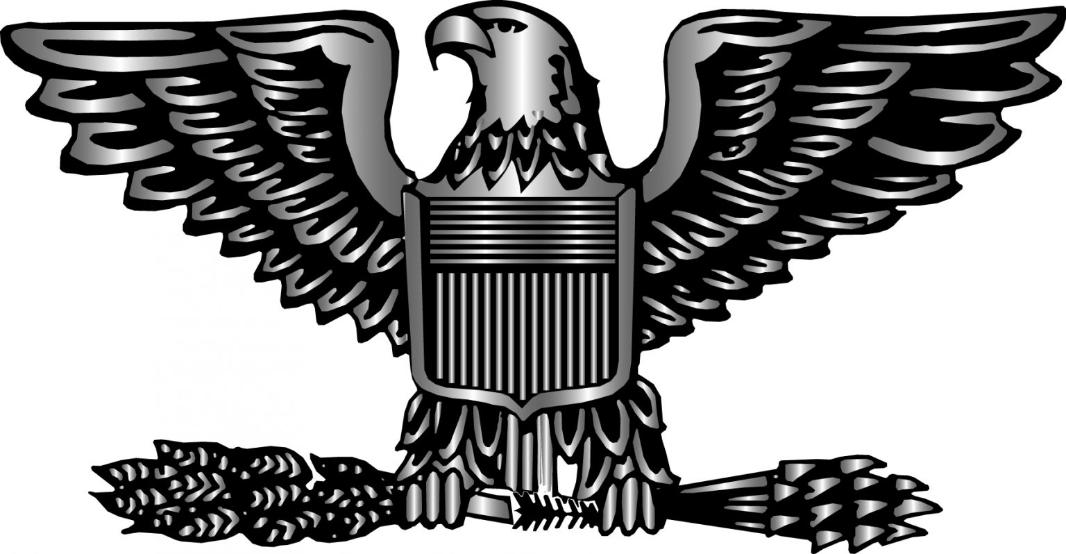 Символ США птица